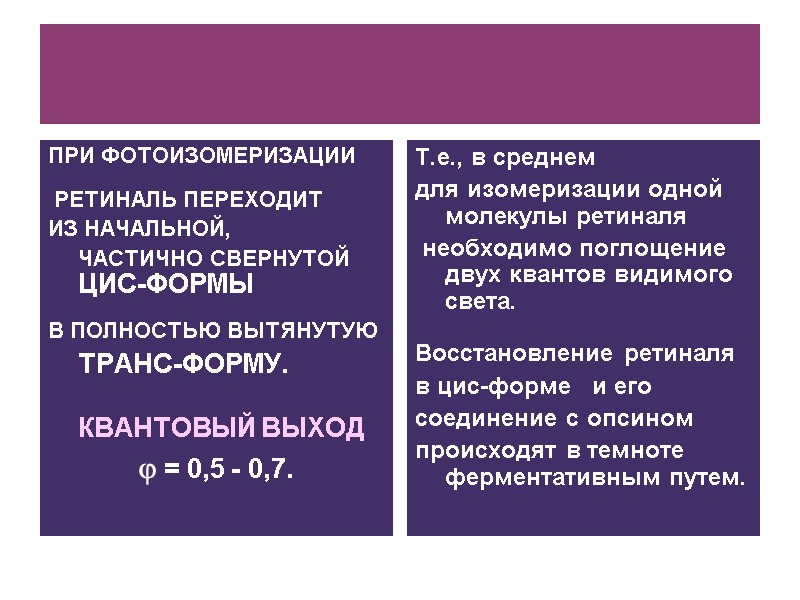 ПРИ ФОТОИЗОМЕРИЗАЦИИ   РЕТИНАЛЬ ПЕРЕХОДИТ  ИЗ НАЧАЛЬНОЙ,   ЧАСТИЧНО СВЕРНУТОЙ ЦИС-ФОРМЫ